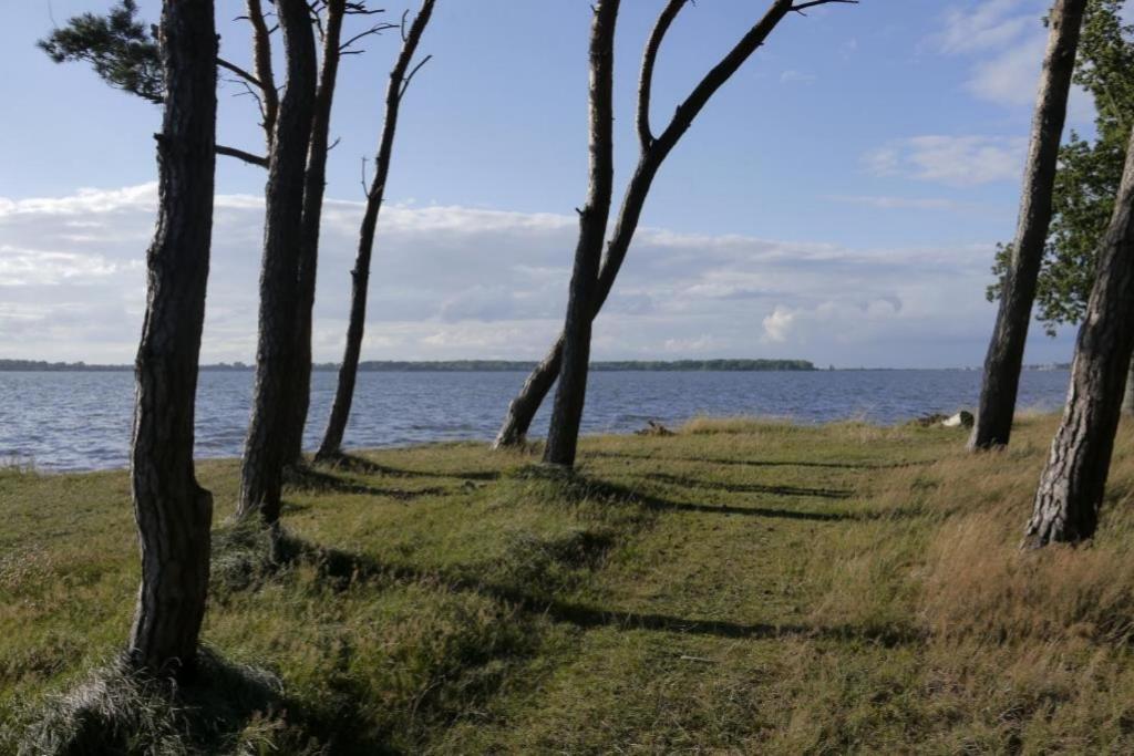 Fewo 08 Seemoewe Mit Blick Auf Salzhaff Und Ostsee Rerik Ngoại thất bức ảnh